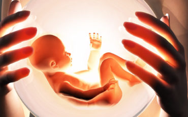 posle_perenosa_embrionov