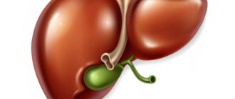 Чистка желчного пузыря народными средствами