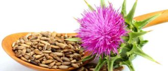 Семена Расторопши