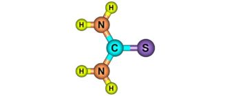 Уровень мочевины в крови норма для женщин