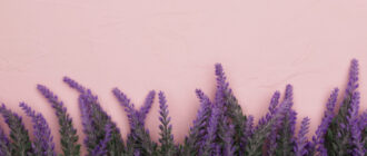 Прутняк обыкновенный: Польза и Вред для Женщин