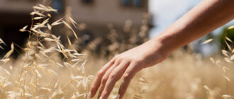 Ячменный солод: польза и вред для женщин